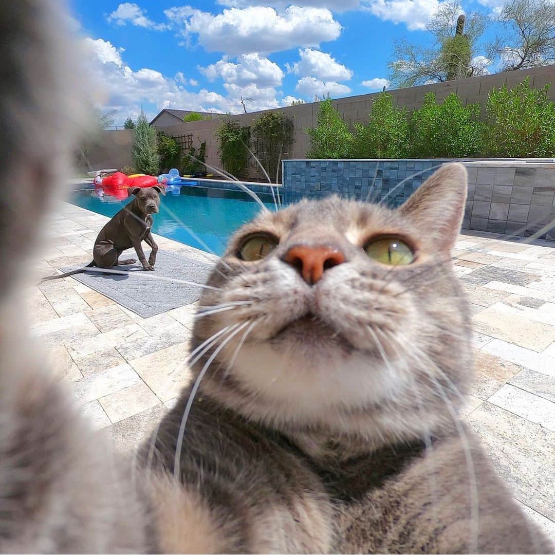 マニーのインスタグラム：「😼🤳 w/ @indigodoggo #GoPro」