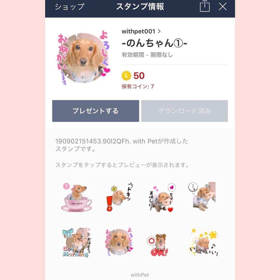 ゆうたむさんのインスタグラム写真 - (ゆうたむInstagram)「こんな簡単に愛犬のラインスタンプ作れる時代になったぁ🐶💕 . やることはまるでプリクラ撮るのといっしょ✨ . 愛犬家のみなさんは絶対作ってLINEでばんばん使うと幸せ気分になれますヨ🐶😍 . . はぁ〜しんどい可愛い✨ . [-のんちゃん①-] https://line.me/S/sticker/9033513?lang=ja&ref=gnsh_stickerDetail . . だ、ダウンロードしてもいいんだよぉ？？🐶✨ . . #withpet #lineスタンプ #愛犬 ミニチュアダックス #メス #のんちゃん」9月10日 14時44分 - yuutamu_non