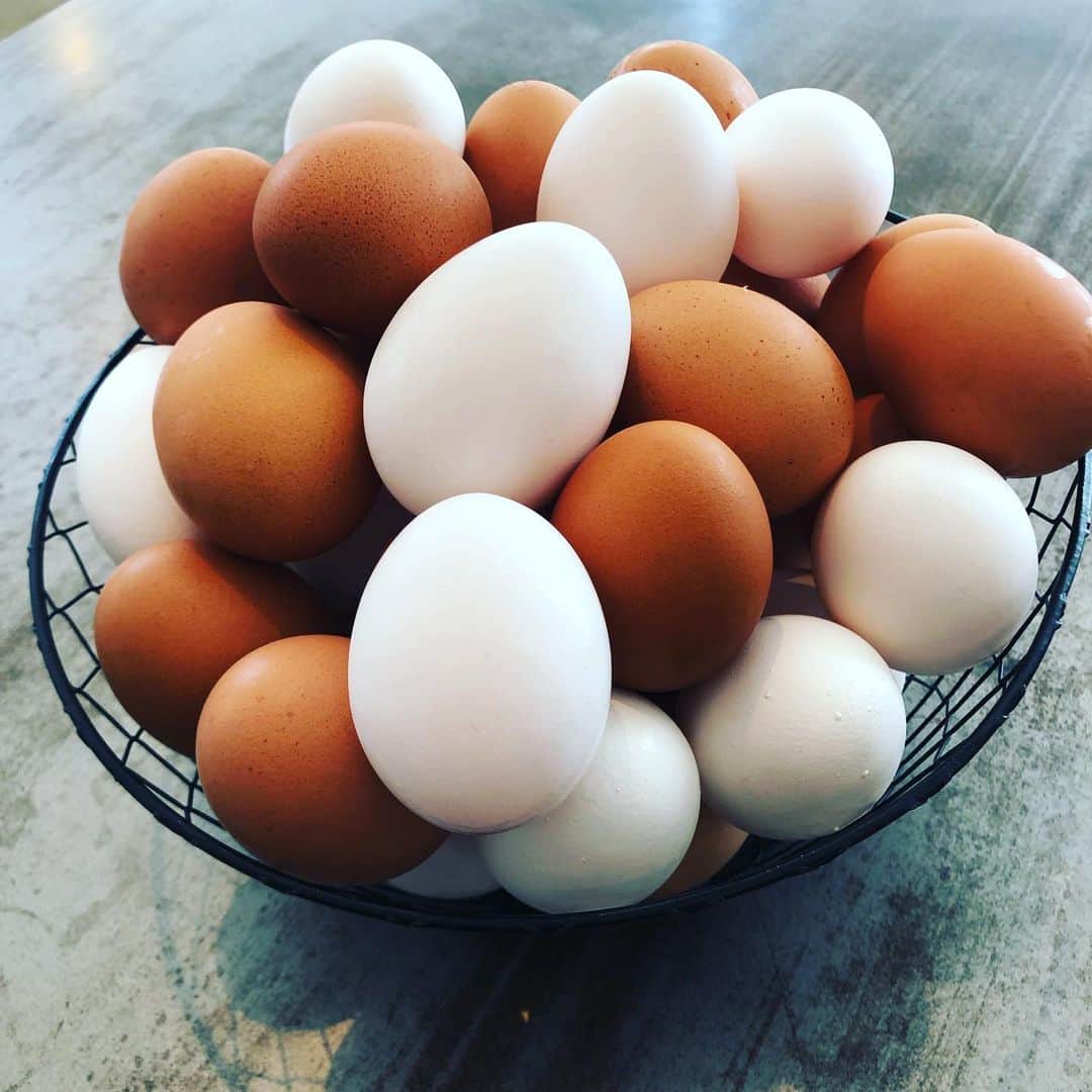 栗原心平さんのインスタグラム写真 - (栗原心平Instagram)「今日から新刊「たまごはん」の撮影です。その名の通りたまご専門の料理本です。11月15日発売予定です！よろしくお願いします！※調子に乗ってエプロン作っちゃいましたw #栗原心平 #shimpeikurihara #たまご #卵 #たまごはん #卵料理 #卵専門」9月10日 14時49分 - shimpei_kurihara