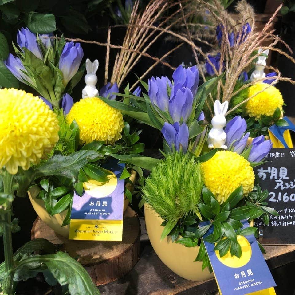 青山フラワーマーケットのグルメインスタ