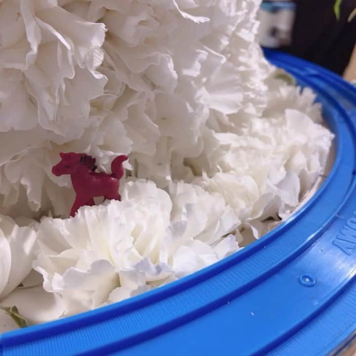 高橋花林のインスタグラム：「うちに持って帰ってきたよ。 走らせてるよ。」