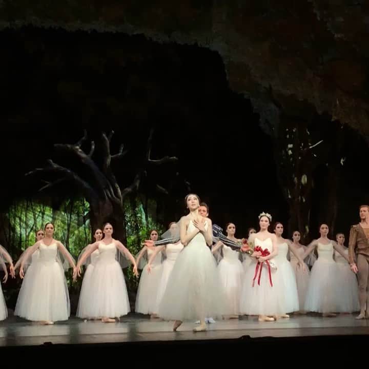 のインスタグラム：「I got to be “Giselle” three times last week and each time brought different feelings and discover something new. Honored to open @houstonballet 50th anniversary season with the beautiful cast💕🎉Special thank you to my Albrecht @connorlwalsh. I can’t wait to be your Giselle again this Saturday❤️💔 先週は3回ジゼルとして舞台に立ちました。踊る毎に違う感情、新しい発見がすごくあって、自分でもとても興味深かったです😆 ヒューストンバレエ50周年シーズンオープニング公演で踊らせていただき光栄です🎉 又今週末にジゼルとしてアルブレヒト @connorlwalsh とどんな恋をするのか楽しみです❤️💔 Thank you @alysoltero for the 🎥!!! #houstonballet #ballet #ballerina #lovestory #love #giselle #foreverlove」