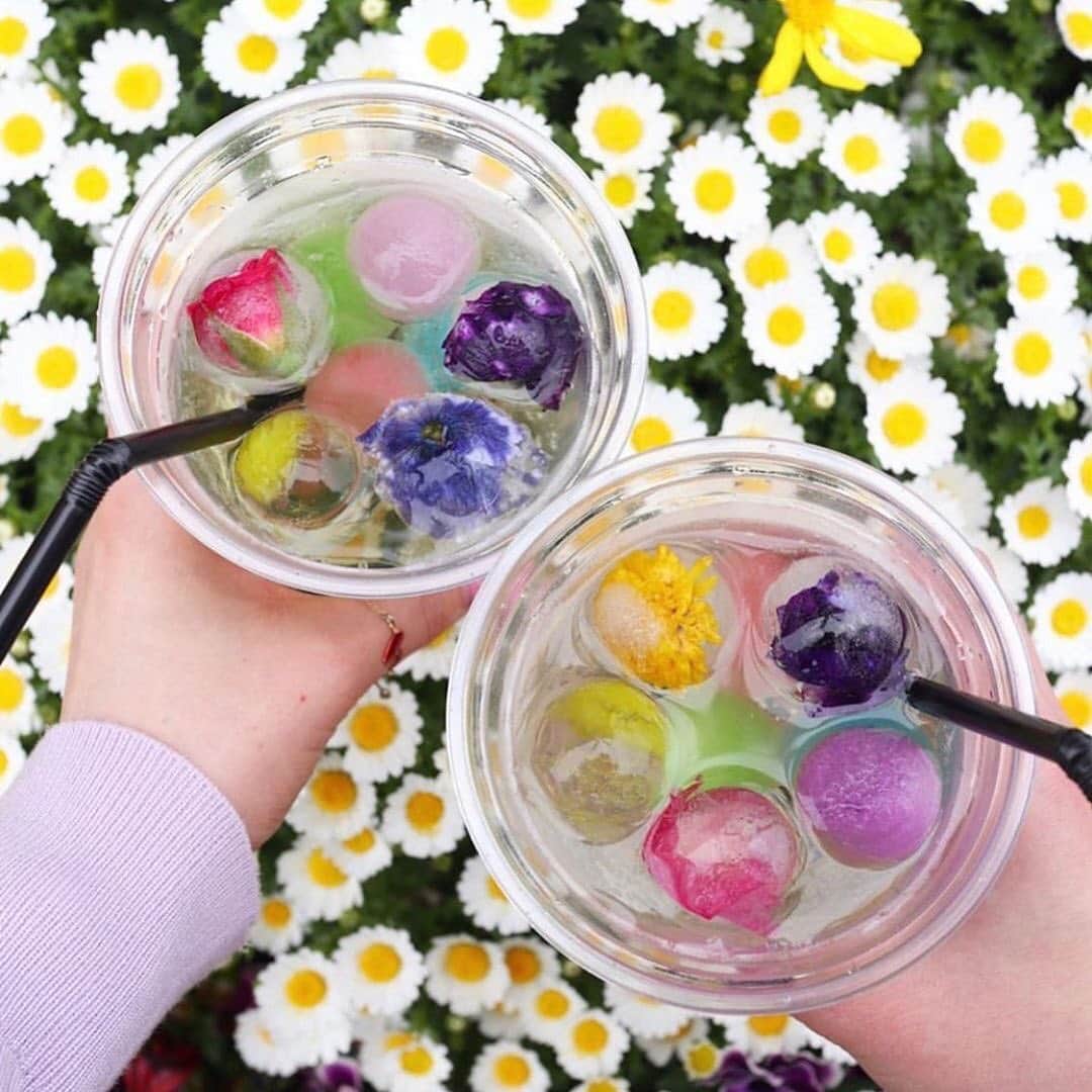 aumoグルメのグルメインスタ