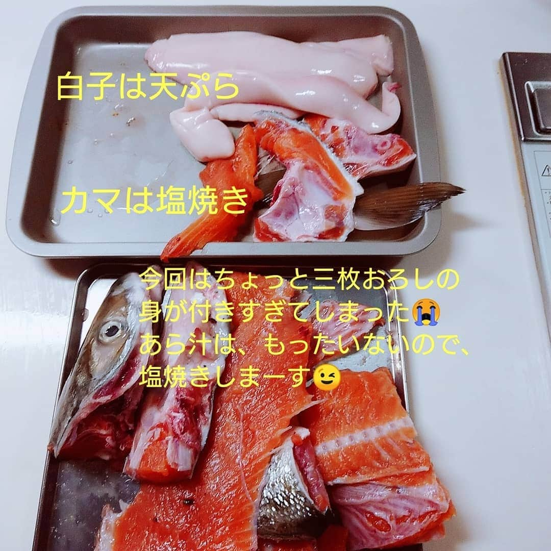 ピックさんのインスタグラム写真 - (ピックInstagram)「海の宝石箱や～🐟 、 @megumi.09249  めんめちゃんfamilyが、日曜日に、オホーツク海で、ぶっこみで、釣りたて、ホヤホヤを、ぴっちゃんfamilyに～って❗ 、 送ってくれました～❤️ 感謝感激雨あられ(笑)🤣🤣🤣 、 ミッキーぴっちゃんは、 @himekochama  さんからのプレゼント‼️ありがとう❤️やっぱりかわいいね 、 他にも、サンマの辛いの ロースジンギスカン ラワンフキの佃煮 ラワンフキのキムチなんとか 石狩鍋の汁 、 どれもこれも美味しそうで❗ありがとう❤️ 、 久しぶり捌いたら身が付きすぎて😭💦😅🙏 、 あら汁にするのは、もったいない❗ そのまま塩ふって、焼いて頂きます😉 、 ほんとはコメントオープンしたかったけど、ちょっとできなくて、ごめんねー❗ 、 余すことなく頂きます😉 、 、 #北海道 #海の幸 #ありがとう #west_dog_japan  #秋鮭 #dog #doglove #dogstagram #instadog #todayswanko #inulog #instagram #インスタグラム #短足部 #coolangel #doglife #犬の居る暮らし #犬 #だいすき #ミニチュアダックス #ミニチュアダックスフンド #ダックス #シニア犬 #15歳 #ピック #モデル犬 #イケワン #わんわん小学校」9月10日 17時55分 - pick09040904