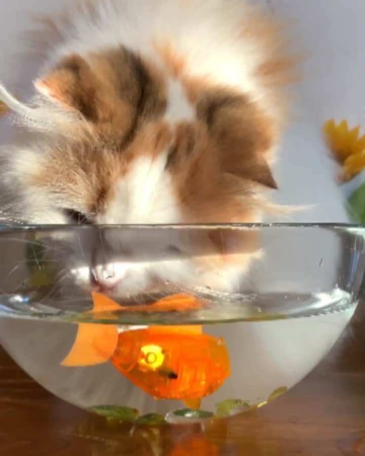 yayoi89のインスタグラム