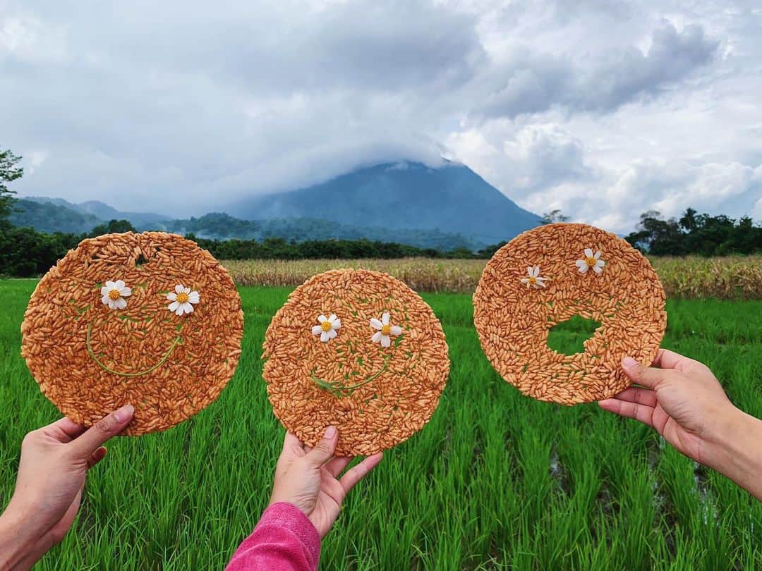 Amata Chittaseneeさんのインスタグラム写真 - (Amata ChittaseneeInstagram)「Yay! Smiley sticky rice 🌾 our first organic grow. Now that I’ve completed my goal for this year, still got a few months toward the end of the year. Back in Chiangdao, learning how to be sustainable on food and environment with @monjirawan #smileynation #pearypiesmileycamp #Thailand #Rice #chiangdao」9月10日 18時38分 - pearypie