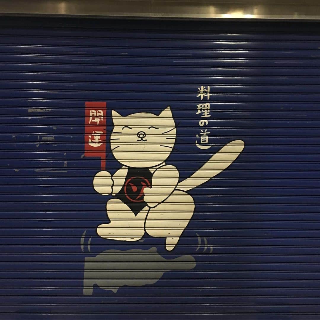 能町みね子さんのインスタグラム写真 - (能町みね子Instagram)「大阪道具屋筋のシャッターにいた、愛されてない雑な猫。本来の意味のゆるキャラ。「料理道」と「料理の道」って雑な分け方されてるし、料理道は落書きされてるし、なんか急に増殖するし、「学びの道」なのにゲームボーイ持ってるし、しまいには「商いの道」だけ顔が完全に別人(別猫)だしなんなの、もっと愛してあげて」9月10日 19時00分 - nmcmnc