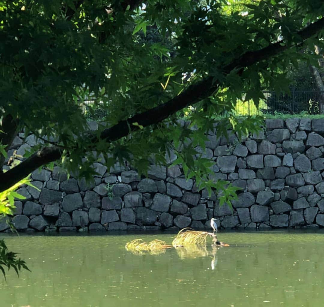 Palace Hotel Tokyo / パレスホテル東京のインスタグラム
