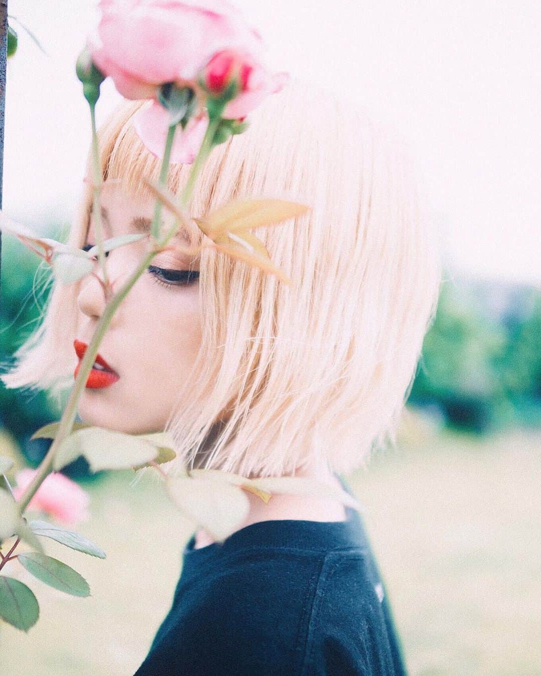 ハナエさんのインスタグラム写真 - (ハナエInstagram)「そろそろ秋薔薇の季節でしょうか 📸 by @lonesome_ishimoto」9月10日 20時46分 - hanae_0227
