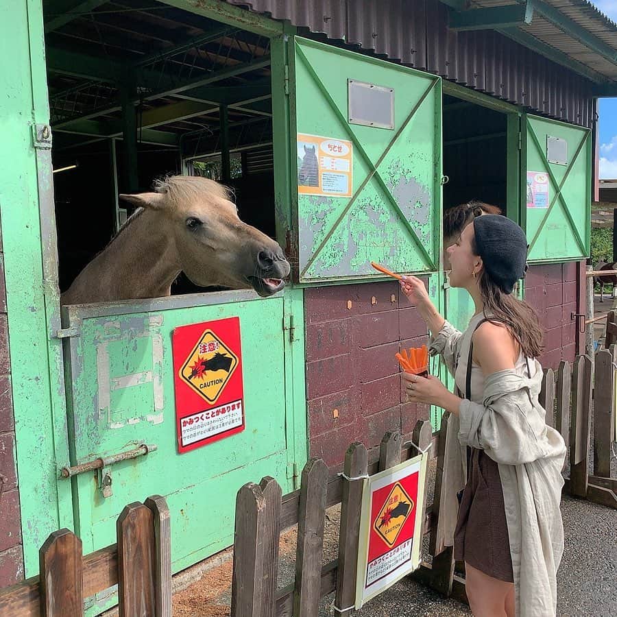 のインスタグラム：「* * マザー牧場行ったら必ず ここのお馬さんに人参あげる . 🐴🥕 _ #マザー牧場」