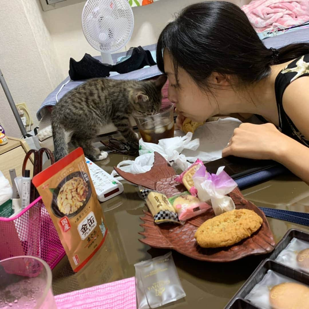 和泉杏さんのインスタグラム写真 - (和泉杏Instagram)「はぁ♡  まるゆかんちのごま吉ちゃんに会いに行ってきました♡  はぁ〜♡ 可愛かった〜♡ ちっちゃかった〜♡ 幸せ〜♡ #ごま吉 #ユメマナコまるゆか #まるゆか #羨ましい #ねこ #ネコ #猫 #ねこちゃん #猫のいる生活  #にゃん #なでなで #パクリ #癒やし」9月10日 21時45分 - izumikyou