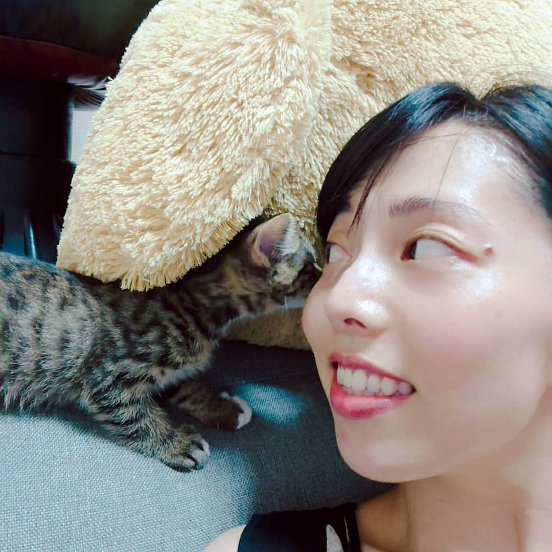 和泉杏さんのインスタグラム写真 - (和泉杏Instagram)「はぁ♡  まるゆかんちのごま吉ちゃんに会いに行ってきました♡  はぁ〜♡ 可愛かった〜♡ ちっちゃかった〜♡ 幸せ〜♡ #ごま吉 #ユメマナコまるゆか #まるゆか #羨ましい #ねこ #ネコ #猫 #ねこちゃん #猫のいる生活  #にゃん #なでなで #パクリ #癒やし」9月10日 21時45分 - izumikyou