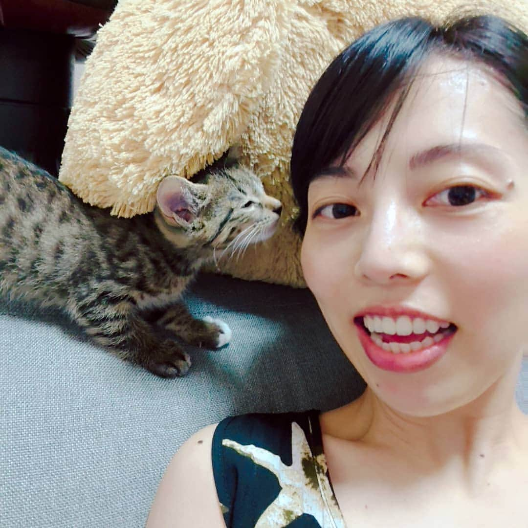 和泉杏さんのインスタグラム写真 - (和泉杏Instagram)「はぁ♡  まるゆかんちのごま吉ちゃんに会いに行ってきました♡  はぁ〜♡ 可愛かった〜♡ ちっちゃかった〜♡ 幸せ〜♡ #ごま吉 #ユメマナコまるゆか #まるゆか #羨ましい #ねこ #ネコ #猫 #ねこちゃん #猫のいる生活  #にゃん #なでなで #パクリ #癒やし」9月10日 21時45分 - izumikyou