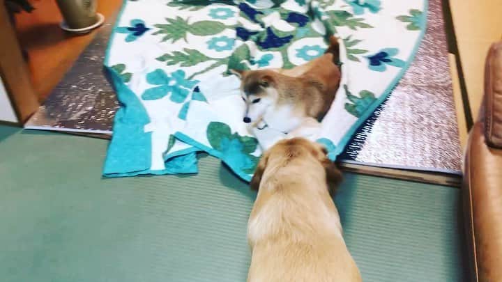 篠原信一のインスタグラム