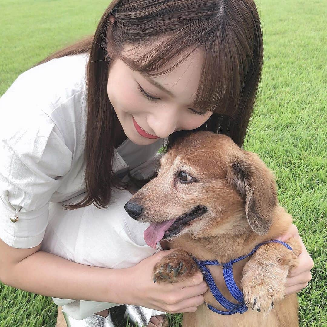 左伴彩佳さんのインスタグラム写真 - (左伴彩佳Instagram)「・ 我が家の愛犬、モコ🐕🍃 弟のことは追いかけるのに、私が走っても見向きもしない、、🥺笑 カメラ向けるといつも目をそらしてしまう…でもそこも可愛い♡ ・ この日は秋でも着れそうなワンピース！秋服これから楽しみ🍂 ・ #ワンピース #秋服 #愛犬 #ミニチュアダックスフンド #お散歩」9月11日 0時12分 - hidaaya_729