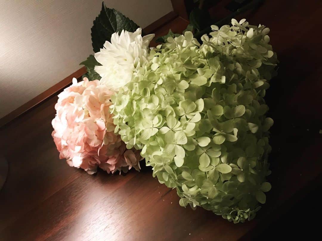 akkoさんのインスタグラム写真 - (akkoInstagram)「ビルボード大阪❣️どうもありがとうございましたー💖楽しかったぁ〜😊👍 楽屋に届いた素敵なお花をホテルに持ち帰る私😆 #akko akkostagram #mll #acoakkolive」9月11日 0時20分 - mllakko