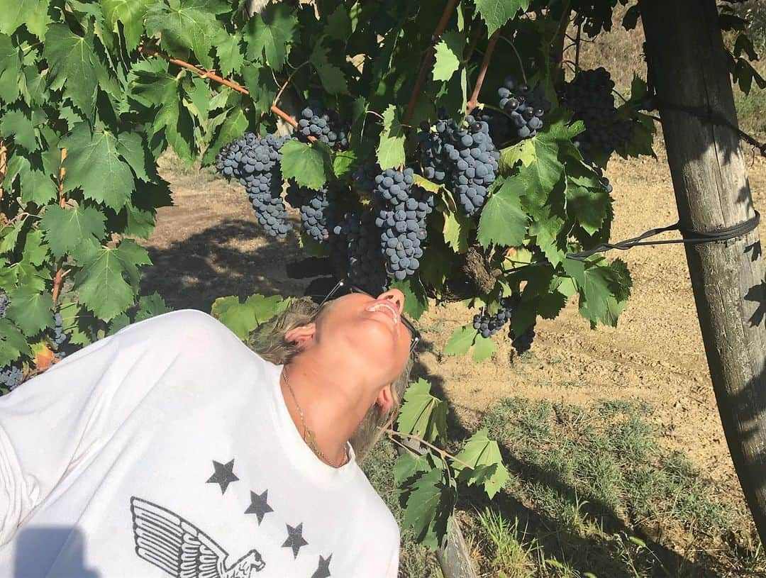 エイプリル・ロスさんのインスタグラム写真 - (エイプリル・ロスInstagram)「Staying on a small vineyard in Tuscany for a few days, brb.」9月11日 2時41分 - aprilrossbeach