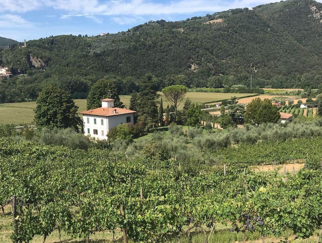 エイプリル・ロスさんのインスタグラム写真 - (エイプリル・ロスInstagram)「Staying on a small vineyard in Tuscany for a few days, brb.」9月11日 2時41分 - aprilrossbeach