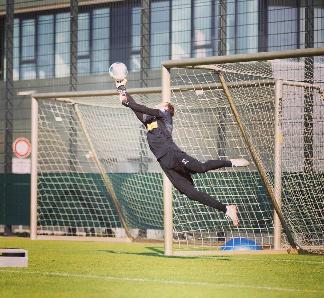 トビアス・ジッペルさんのインスタグラム写真 - (トビアス・ジッペルInstagram)「⚽️🦅 #borussia #bmg #training #puma @borussia @pumafootball」9月11日 3時02分 - tobsen_21