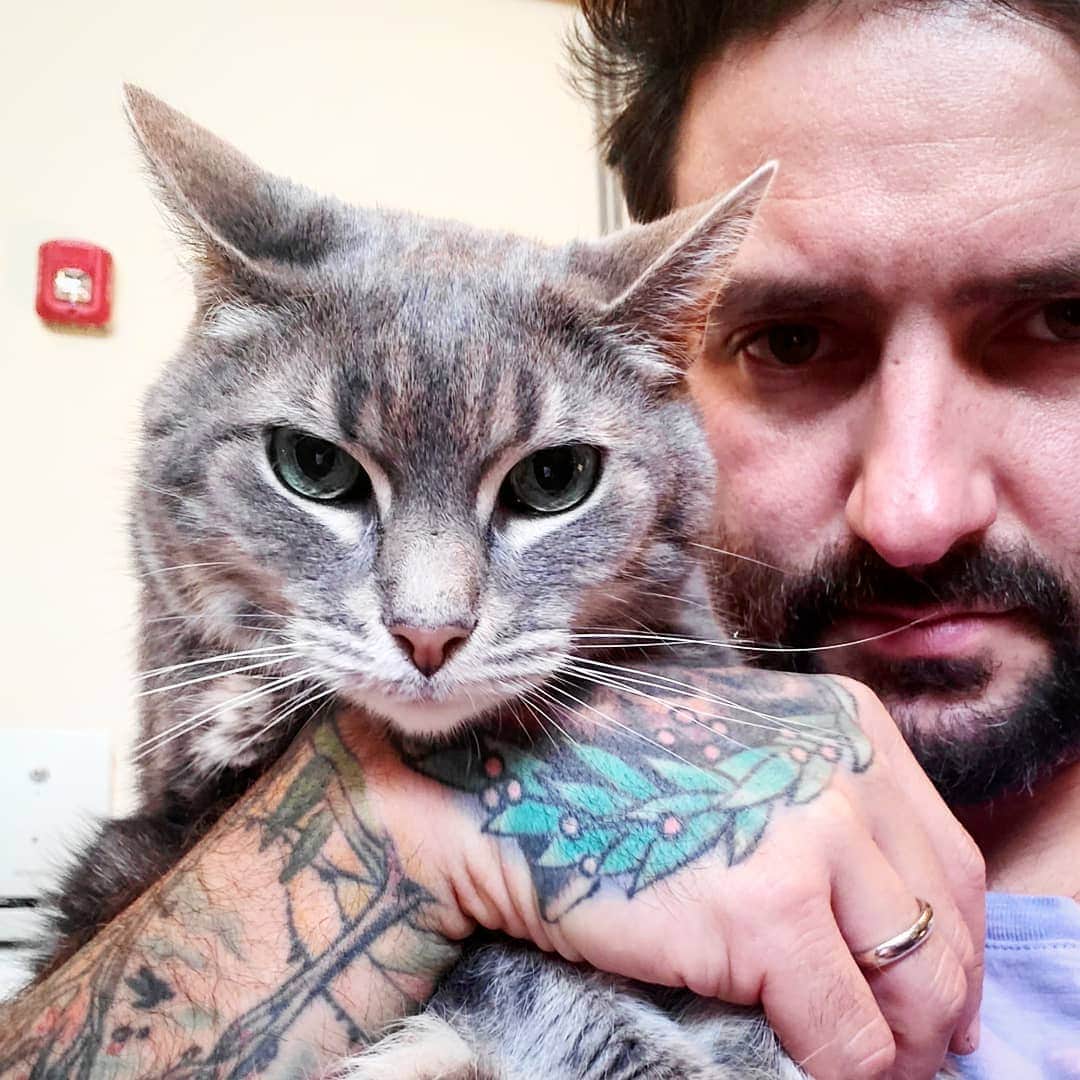 Lil BUBさんのインスタグラム写真 - (Lil BUBInstagram)「BUB's adopted sister Vivian, rescued as a feral kitten 11 years ago. #softestcatontheplanet #vivianthecat」9月11日 3時11分 - iamlilbub