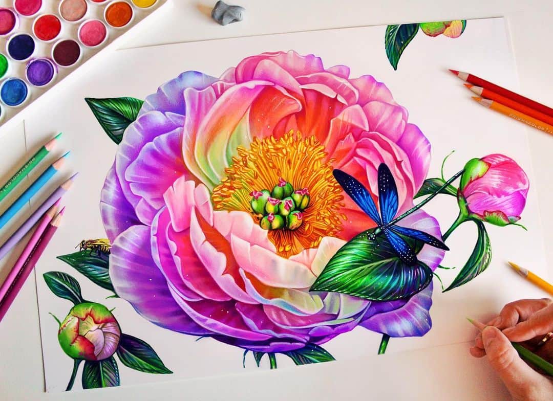 Morgan Davidsonさんのインスタグラム写真 - (Morgan DavidsonInstagram)「I realized I never posted a better quality version of this colored pencil peony drawing I did a few months back! ☺️🌸💕 For the giveaway I wanted to make it simple and easy to join as a big thank you for all of you who were patient while I was busy, traveling and sick! All you have to do is: ✔️like this post ✔️comment below ✔️make sure you’re following me!  The second image I included are some prints, buttons and totes left over from comic con 🙌🏼1️⃣ First place gets a tote, button and art print of their choice!  2️⃣3️⃣Second and third place get an art print of their choice!  I’ll announce the winners this weekend! 🥰 Also, I’ll be starting a new drawing tomorrow so I might have you guys vote on the concept direction in my story and I’ll definitely post process videos! 💃」9月11日 3時42分 - morgandavidson
