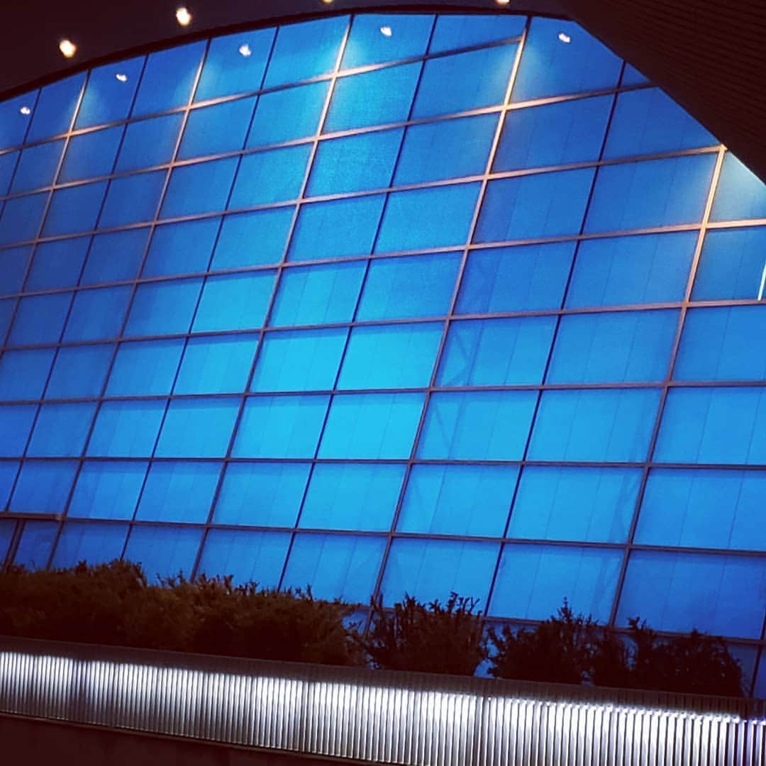 PJクォンさんのインスタグラム写真 - (PJクォンInstagram)「I love it when the outside of a building gives us a hint of what it contains through form or colour...this blue could only be water :) #london2019 #paraswimming @centennialedu @torontoobserver」9月11日 4時03分 - pjkwong