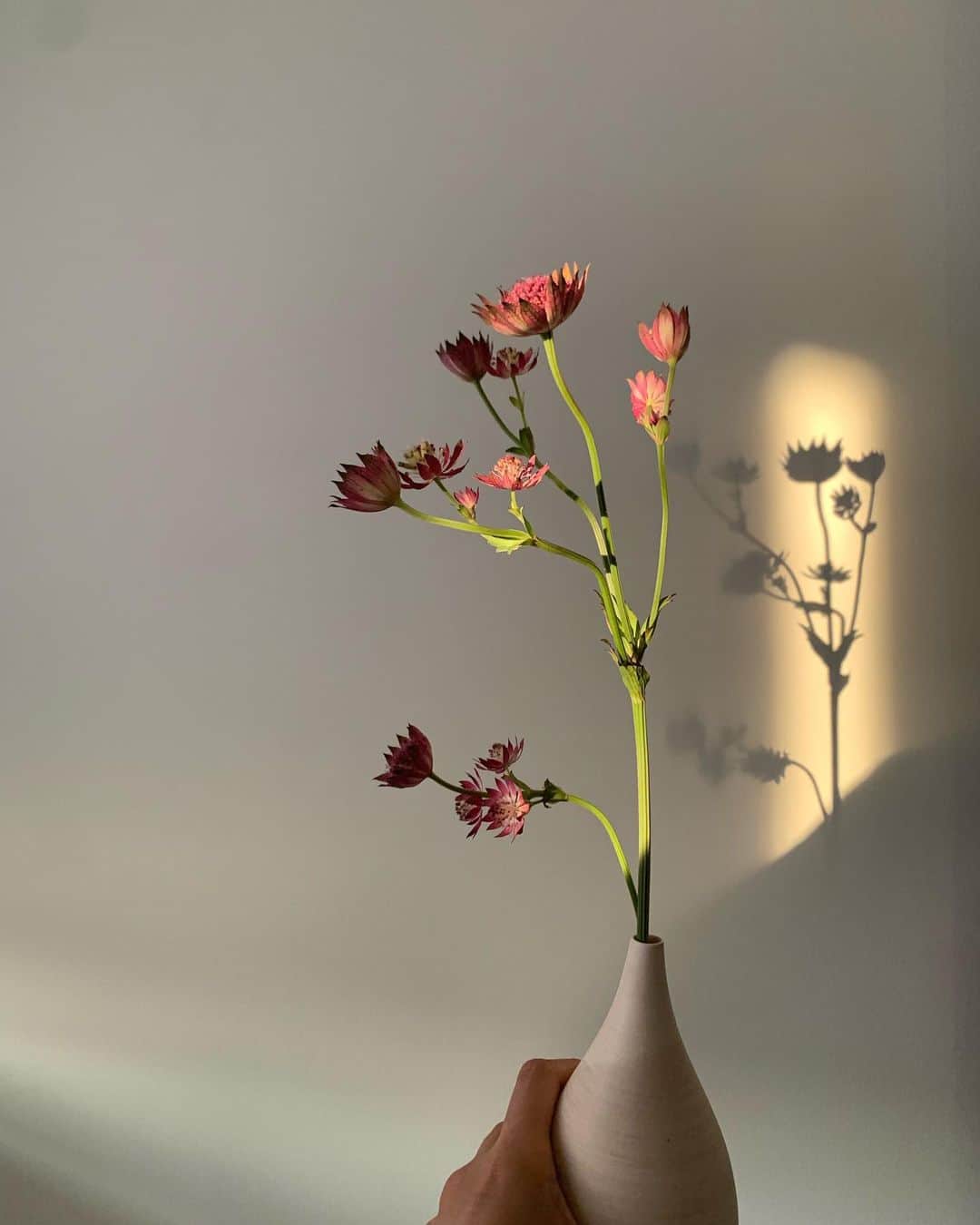 花盛友里さんのインスタグラム写真 - (花盛友里Instagram)「ライフズの花瓶かわいい♡」9月11日 5時41分 - yurihanamori