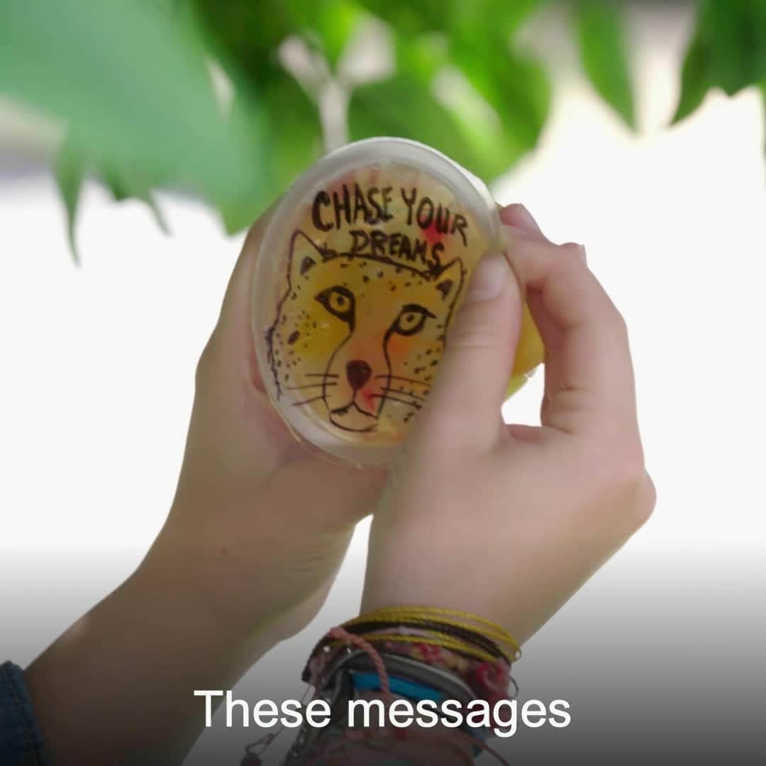 Dole Packaged Foods（ドール）のインスタグラム：「Many kids get butterflies as they head back to school. So, we partnered with @Upworthy to turn a nerve-racking day into one filled with sunshine.」
