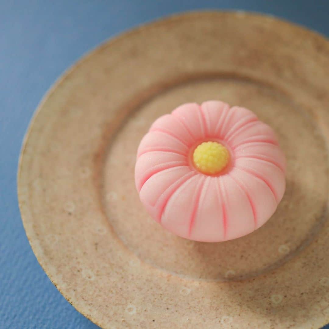 のインスタグラム：「今日の和菓子はねりきりで作った千代見草です。 ねりきりとは白餡に餅や芋を混ぜて作った和菓子で 茶道 で使われる「主菓子」の一種です。 撮影 用に作成しました。  フェイスブックページのいいね！もよろしくお願いします。 https://www.facebook.com/shishisu/ Today's wagashi is  chrysanthemum with Nerikiri. The Nerikiri is the material of wagashi made by mixing the rice cake and yam in white bean. Is a kind of "Jounamagashi" as used in the tea ceremony. The sweets I've made for the shooting.  #福泉堂  #和菓子  #楽しい #funny #my_eos_photo #出雲  #swag #カメラ好きな人と繋がりたい  #写真好きな人と繋がりたい　 #model #life #可愛い #Japan #wagashi  #جميل #кондитер #ファインダー越しの世界 #design #work #ig_color  #happy #Mignon  #igfood #lifestylenipponpic #photooftheday #เค้ก #sweets #торт #yummy」