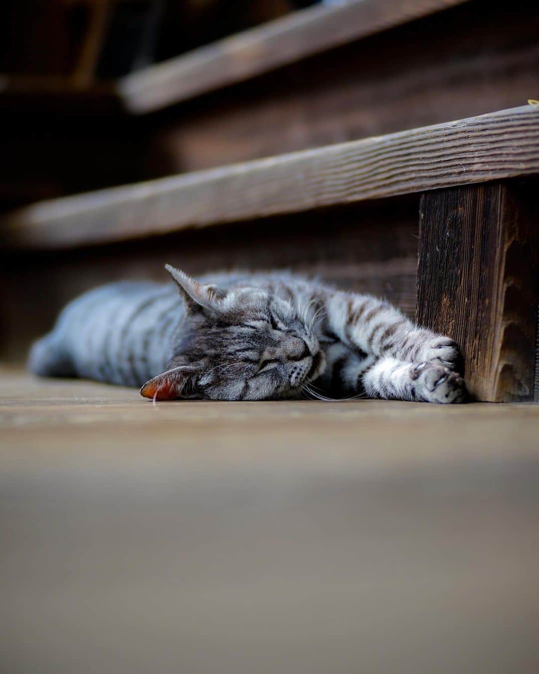 иαяα & куσтσ νιятυαℓ ωσяѕhιρのインスタグラム