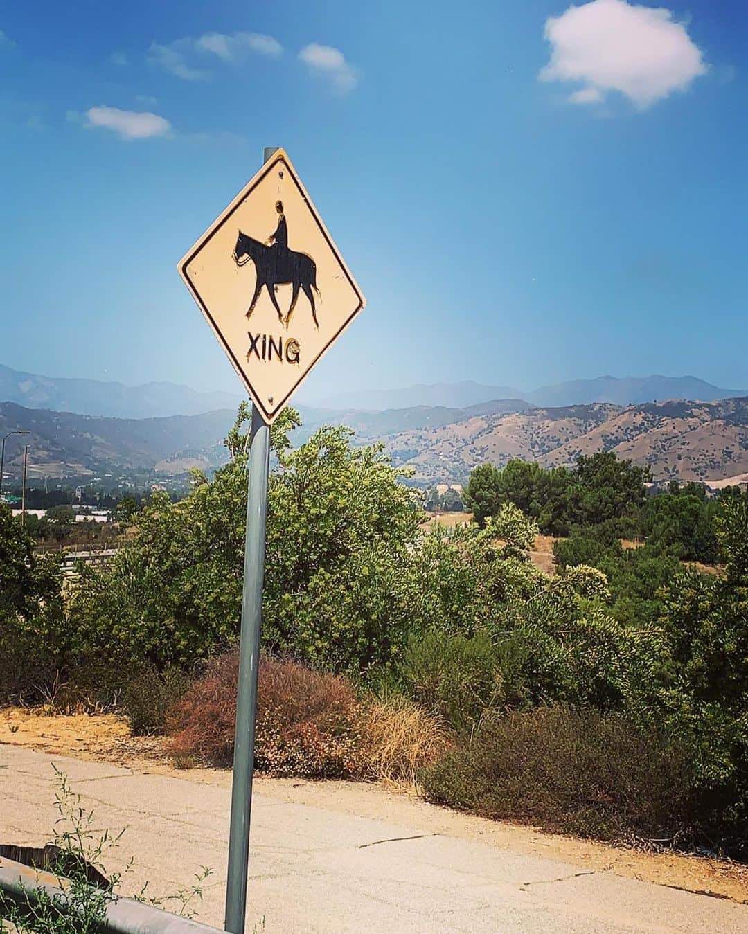 のインスタグラム：「馬通りまーす 💨 #oldtownroad」