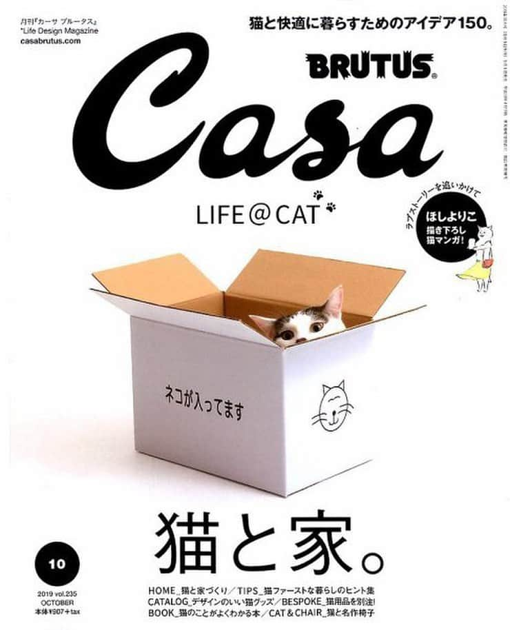 REPLUSさんのインスタグラム写真 - (REPLUSInstagram)「@ おはようございます☀️ 雑誌📖の掲載です😊  月刊Casa BRUTUS 10月号 LIFE@CAT No.235 Octobar 2019  この一冊に猫ちゃんとの暮らしが全て素敵に詰まっております🐈  我らが#NailCat も掲載いただきました❤️ まーなんともモデル猫ちゃん抜群のセンス✨ 流石です🥺 素敵に撮影していただき、 ありがとうございます🤗🥺 #雑誌 #casaBRUTUS #猫 #愛猫  #REPLUS#リプラス #ナチュラル#natural #インテリア#interior#雑貨#wood #ねこ#ねこ好き#ねこら部#にゃんすたぐらむ #cat#catstagram #ペット #petstagram#pet#petlover #instagood#instagram #instacat」9月11日 9時30分 - replus_official