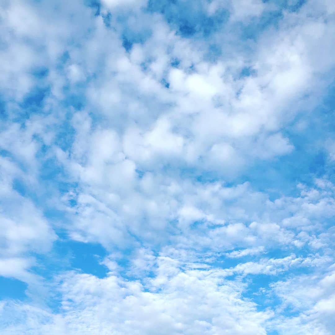 今村沙緒里のインスタグラム：「台風！ すごかったですね。 夜中こわかった… あの日、千葉にいたのですが その時はこんな空で🔹 今は停電が続いてるみたいで 心配です…。暑いし。 早い復旧を願います。 残暑きびしいので みなさんも体調お気をつけて🦋」