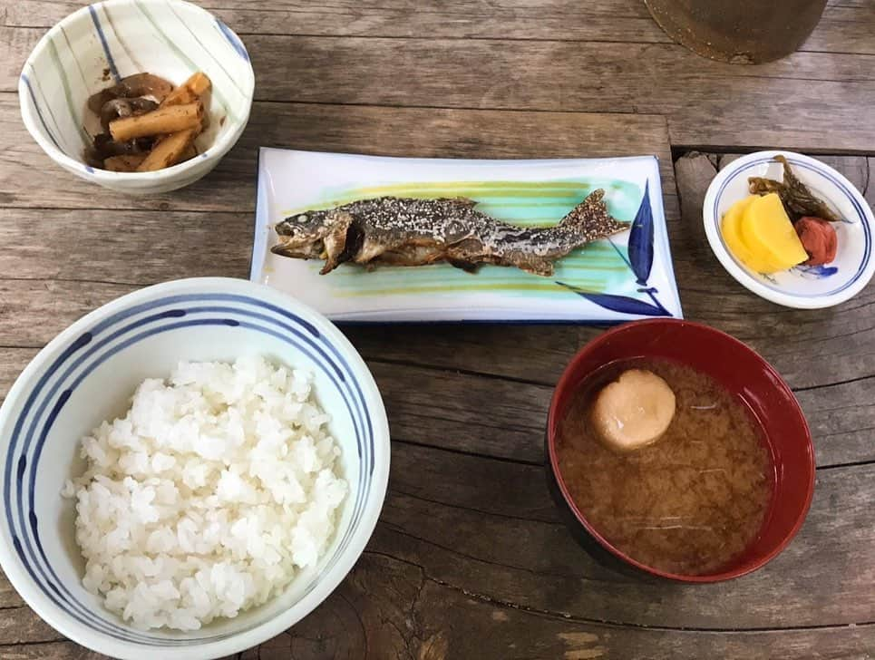 雛月乙葉さんのインスタグラム写真 - (雛月乙葉Instagram)「・ 大好きな信州に行ってきました⛰ ・ 目的地は約30年ぶりの上高地！ 台風の影響もあり午前中は曇っていましたが、少しずつ晴れ最高の旅になりました😊 ・ 今回のルートは大正池〜河童橋〜明神池。 岩魚定食を食べて、帰り道にお猿の軍団に遭遇🐒💕 ・ 約12キロ歩きましたが癒されたお陰か疲れは殆ど残りませんでした。 ・ 冬は閉山しますが、また数年以内に違う季節に行ってみたいです😊 ・ ・ #信州#長野県#上高地#大正池#河童橋 #明神池#嘉門次小屋 #夫婦旅行#」9月11日 11時26分 - h.ayano.m