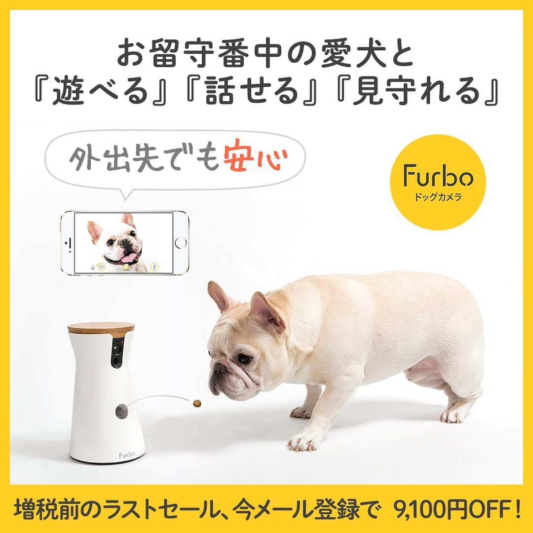 Furbo ドッグカメラさんのインスタグラム写真 - (Furbo ドッグカメラInstagram)「🐶「パパまだ行かないで〜！ドア通せんぼしちゃうよ〜！！」⁠⠀ ⁠⠀ 👨「大丈夫だよ。いい子でお留守番してくれたら外からおやつあげるからね」⁠⠀ ⁠⠀ 🎥　：@lisadieder⁠⠀ ⁠⠀ ⁠⠀ ⁠⠀ ⁠増税前最後のビッグセール開催予定、今事前にメルマガを登録するとセール中に使える限定クーポンをプレゼント！⁠⠀ 詳しくは⁠⠀ @furbo_japan⁠⠀ のURLよりご確認ください！⁠⠀ ⁠⠀ ⁠⠀ ⁠⠀ Furboはお留守番中の愛犬を見たり、話しかけたり、おやつもあげられる高機能ドッグカメラです。⁠⠀ 世界10か国で販売されているベストセラー商品です。⁠⠀ ⁠⠀ スマホ、タブレットの専用アプリを通して、お留守番している愛犬と繋がることができます。⁠⠀ ⁠⠀ 詳しくは⁠⠀ @furbo_japan⁠⠀ のURLよりご確認ください！⁠⠀ ⁠⠀ ⁠⠀ ⁠⠀ ⁠⠀ #ファーボは見た⁠⠀ #ファーボでお留守番できるもん⁠⠀ での投稿や「@furbo_japan」のタグ付け投稿でシェアされるかも！⁠⠀ ぜひご参加ください！⁠⠀ ⁠⠀ ⁠⠀ ⁠⠀ #愛犬との暮らし #お留守番犬 #お留守番カメラ #ドッグシッター #furbo #ファーボ⁠」9月11日 12時03分 - furbo_japan