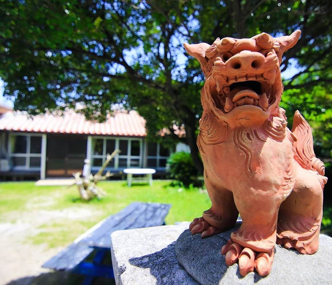 Be.okinawaさんのインスタグラム写真 - (Be.okinawaInstagram)「When you enter a building in Okinawa, you'll be welcomed by these cute Shisa guardian lion-dogs at the entrance! 📷:@cori.26  #shisa #traditionalcrafts #沖繩招福獅 #傳統工藝 #시사 #전통공예 #シーサー #伝統工芸 #traditionalpottery #redrooftiles #beokinawa #visitokinawa」9月11日 18時15分 - visitokinawajapan