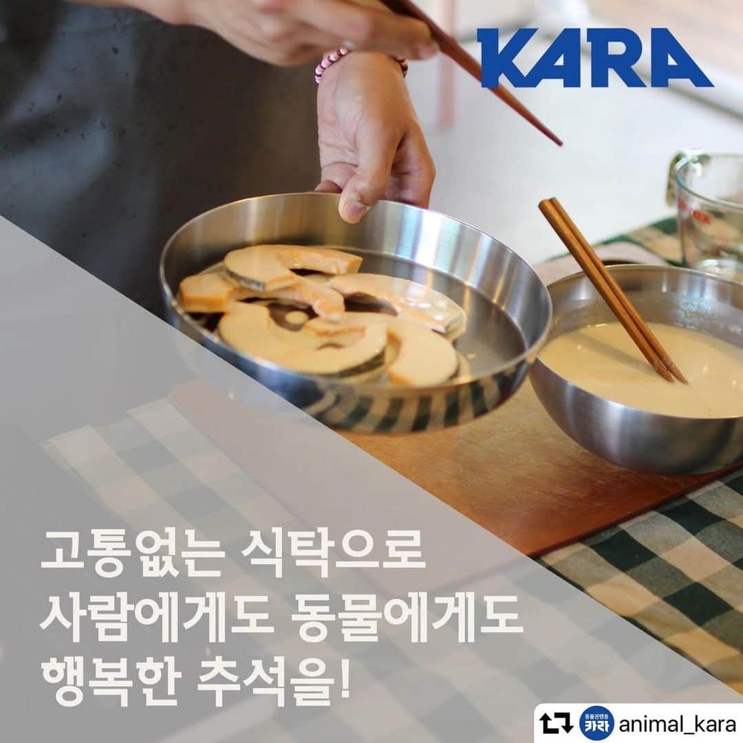 イ・エルさんのインスタグラム写真 - (イ・エルInstagram)「#repost @animal_kara ・・・ 사람에게도 동물에게도 행복한 추석🐂🐖🐓 ⠀ 🌕 우리 손으로 바꿀 수 있습니다. 이 땅에 사는 존재들의 참혹한 고통을 줄이고, 행복을 늘릴 수 있습니다. 우리 각자가 할 수 있는 선에서 노력한다면, 동물들의 삶에는 그만큼의 희망이 생깁니다. ⠀ 🧡 실천 하나! 고기 반찬 하나를 제철 채식 요리 하나로 대체해보세요. 명절 식탁에 공감과 사랑이라는 의미를 더해 더욱 풍성하게 즐기세요. ⠀ 동물의 고통이 없어도 맛있는 반찬 레시피를 프로필 하이라이트에서 보실 수 있습니다. (채탕, 들깨토란국, 삼색나물, 삼색튀김 등) ⠀ 🧡 실천 둘! 명절맞이 장보기 리스트에 달걀🥚이 있다면 '동물복지' 달걀인지 확인하고 구매해주세요. 방목장에서 뛰놀고, 횃대에도 올라가고, 닭답게 산 닭이 낳은 달걀을 선택해주세요. 닭들이 살아있는 동안만이라도 본연의 삶을 존중받을 수 있도록, 우리가 바꿀 수 있습니다. 패키지에 농림축산식품부 인증 ‘동물복지 달걀 인증 표시’를 확인해주세요! ⠀ * 달걀 껍데기에 찍힌 여섯 자리 숫자로도 닭 사육 환경을 가늠할 수 있습니다. 마지막 숫자가 1인 경우 방목장에서, 2인 경우 평사에서 자란 산란계가 낳은 알입니다. 3, 4인 경우 케이지에서 자란 산란계가 낳은 알이므로 되도록 피해주세요. ⠀ 🐓 기대수명이 길게는 30년이라는 닭은 A4용지 한 장 크기도 안 되는 공간에서 살다가 한 달 만에 도축됩니다. 수평아리는 태어난지 세 시간이면 죽습니다. 🐖 돼지는 몸도 돌릴 수도 없는 철창(스톨)에서 임신과 출산을 반복하고, 수퇘지는 태어난 지 6개월만에 도축 당하는데, '효율적'으로 살 찌우기 위해서 생후 3일 내에 송곳니를 발치하고, 일주일 이내에 마취 없이 거세합니다. ⠀ 🌕 거대한 변화도 작은 실천부터 시작됩니다. 장볼 때 동물의 삶과 고통을 잠깐이라도 떠올리고, 잠깐이라도 머뭇거리고, 작게라도 실천하는 것이 결국에는 동물들의 생존과 삶 전체의 조건을 바꾸게 됩니다. 그러니까 우리 꼭 실천하기로 해요. 모두들 즐거운 명절 보내세요💕 - 모두가 행복한 명절 만들어가요🙌🏻」9月11日 14時11分 - 2l_kjh