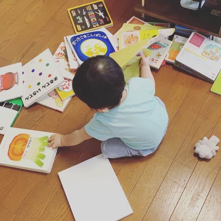 百千糸のインスタグラム：「なんでも棚から出したい 本の帯は破りたいお年頃。」