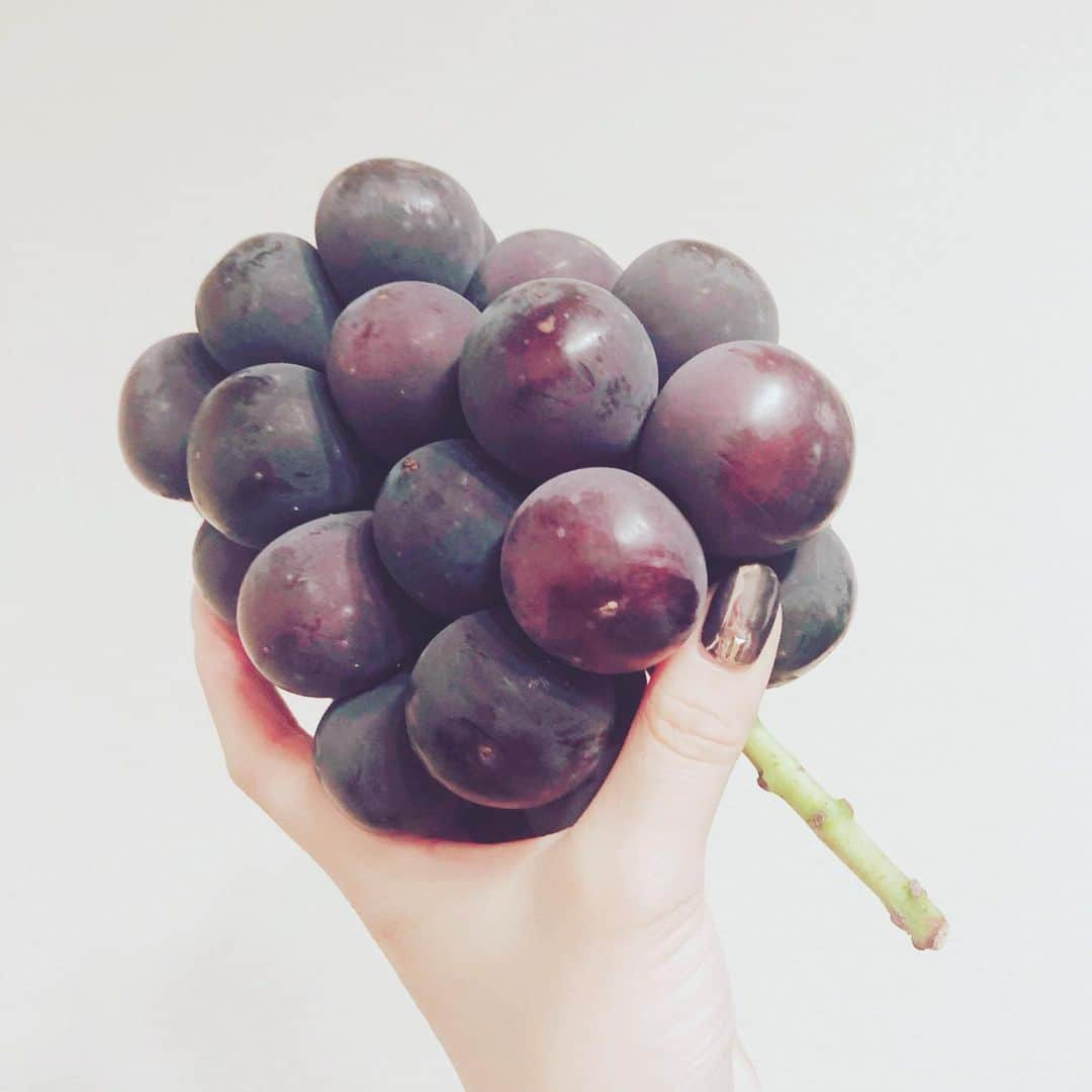 平井喜美さんのインスタグラム写真 - (平井喜美Instagram)「マスカットvsぶどう🍇 シャイン💚はマストで今回は岡山ブランドのオーロラブラックも買ってきました💚💜💚💜 どっちも美味し‼︎けど、私はマスカット派かな💚 . . #fruit #okayama  #tabijyo_japan #genic_mag  #国内旅行 #instagood #instapic  #trip #旅行好き #食べるの好き」9月11日 14時14分 - yoshimi1111