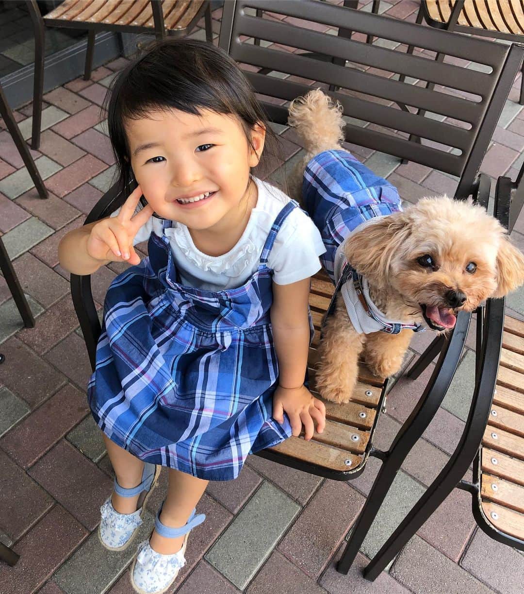 のインスタグラム：「. 👧&🐶 おそろい💕💕💕 . #トイプードル#娘#2歳#リンクコーデ#手作り#こむぎ#犬#赤ちゃん#baby#dog」