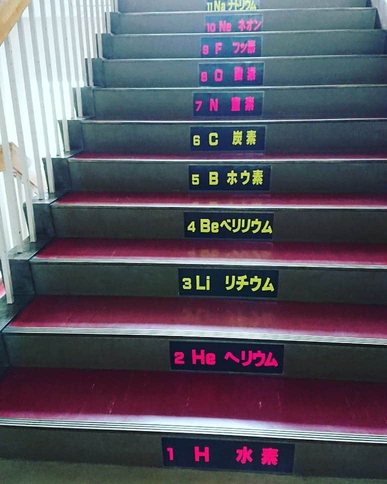 伊勢みずほさんのインスタグラム写真 - (伊勢みずほInstagram)「新潟市立山潟中学校にお邪魔しました✨ 元素記号が階段に？！ にゃんぱく宣言が廊下に？！ 先生方の計らいがとってもCool😂💘 全校生徒約400名のみんなと一緒に言葉選びの大切さを学ばせていただきました☺️ 中学生のみんな。。。可愛い😍  いつの間にかInstagramフォローもしてくれた生徒さんもいるみたい💘  本当にどうもありがとうございました😂  #山潟中学校 #中学校 #中学生 #講演会 #言葉 #みんなの言葉は生きている #Instagram #フォロー #ありがとう #辛いことがあったら #今日の話 #少し思い出してね #🐈 #にゃんぱく宣言 #さだまさし #元素記号 #みんなありがとう #感謝 #伊勢みずほ #アナウンサー #nocatnolife」9月11日 15時20分 - isemizuhoo