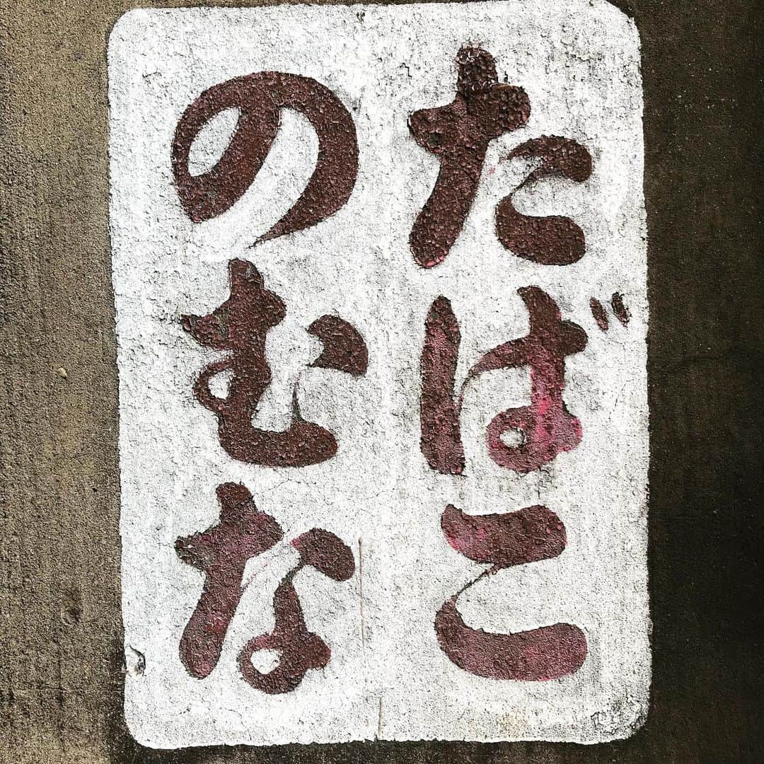 高橋文樹のインスタグラム：「たばこのむな」