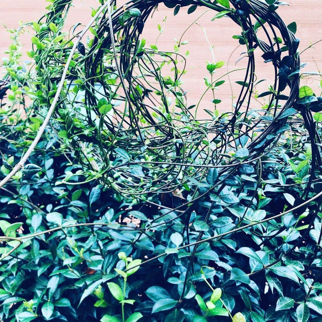 中野敬久さんのインスタグラム写真 - (中野敬久Instagram)「#わっか #grass #green #round #art #natural」9月12日 3時17分 - hirohisanakano