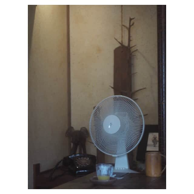 江嶋綾恵梨さんのインスタグラム写真 - (江嶋綾恵梨Instagram)「大分の古民家カフェ☕️﻿ "道々の輩"ってお店に行ってきたよ。ふふ﻿ ﻿ レトロさがたまらなかった👵🏻🏡﻿ こういう雰囲気大好きだから﻿ 家族みんなでまったりしてきました☺︎﻿ ﻿ 昔住んでた木造の一軒家思いだすぅ〜〜﻿ 隠れ家カフェ最強ですネ🕰﻿ ﻿ #大分 #別府 #大分カフェ #別府カフェ #道々の輩 #古民家カフェ﻿ #隠れ家カフェ #喫茶店 #ランチ #えじカメラ」9月11日 19時42分 - aeringoooo