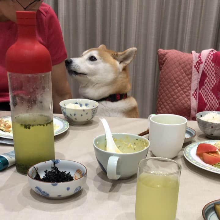 のインスタグラム：「チキン南蛮🤤」