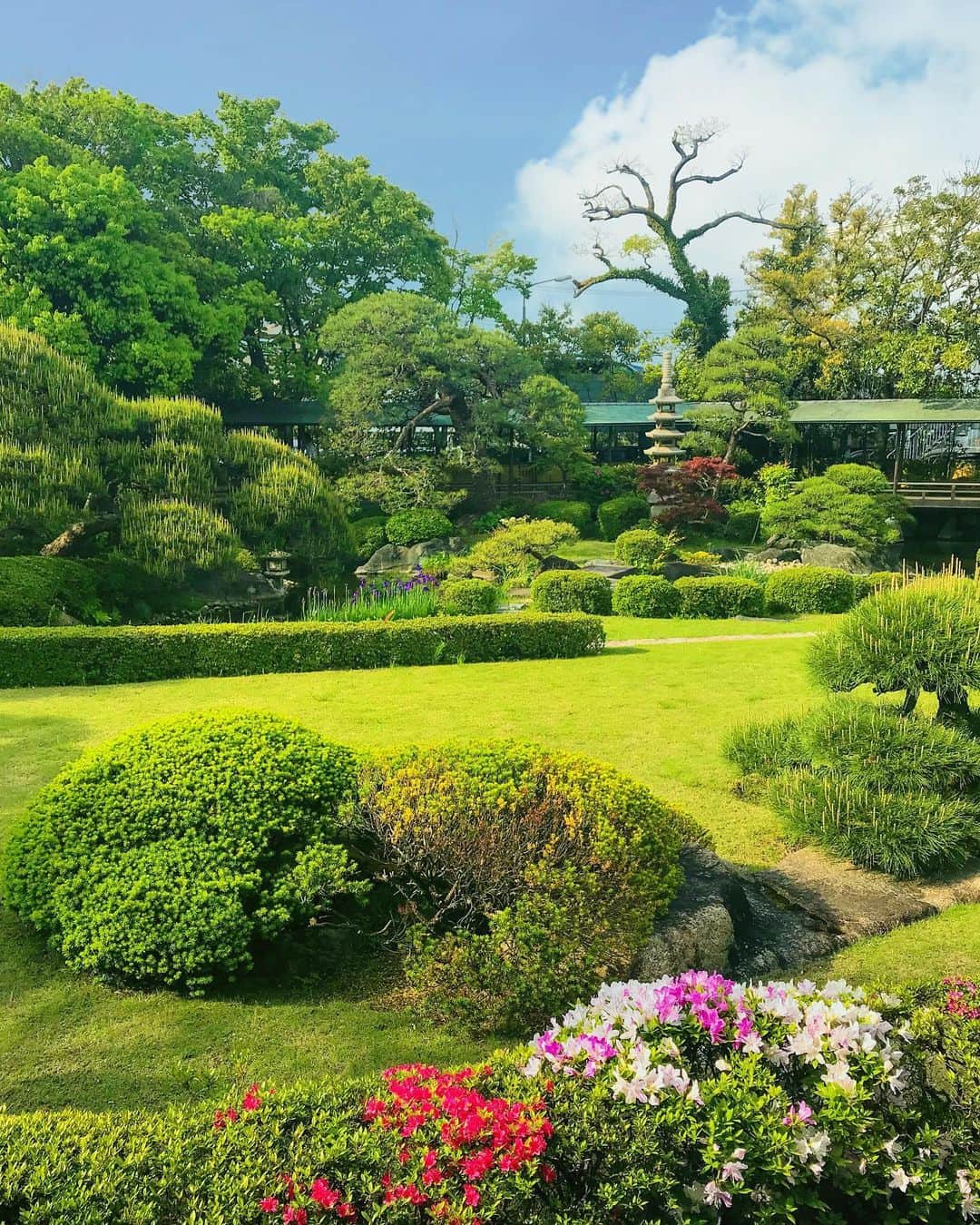 尾崎ありささんのインスタグラム写真 - (尾崎ありさInstagram)「📍邃渓園（柴又帝釈天）﻿ ﻿ 彫刻の寺とも呼ばれ彫刻ギャラリーが有名な柴又帝釈天。﻿ 東京都指定名勝庭園に指定されている庭園もまたとても美しくて風情がありました🌿﻿ ﻿ ﻿ 庭園内は歩くことができないのですが、大客殿や渡り廊下から見ることができます。﻿ お茶を飲みながら座ってゆっくりとした時間を過ごし、リラックスできました🍵﻿ ﻿ ﻿ 帝釈天の外側にある彫刻ギャラリーと併せて、是非見て頂きたいスポットです😊﻿ ﻿ ﻿ ﻿ *﻿ ﻿ ﻿ 台風の被害に遭われた方大丈夫でしょうか？﻿ 一刻も早い復旧をお祈りします。。。﻿ ﻿ ﻿ ﻿ ﻿ #トーキョーミント #tokyomintoo #ミントアンバサダー #柴又 #柴又帝釈天 #庭園 #庭 #日本庭園 #寅さん #御朱印 #japanesegarden #japan #japantrip #tokyo #landscape #写真好きな人と繋がりたい #彫刻 #東京 #東京都指定名勝 #商店街 #食べ歩き #和 #green #癒し #空 #お寺 #temple #寺 #寺社巡り #東カレ倶楽部」9月11日 21時03分 - also1219