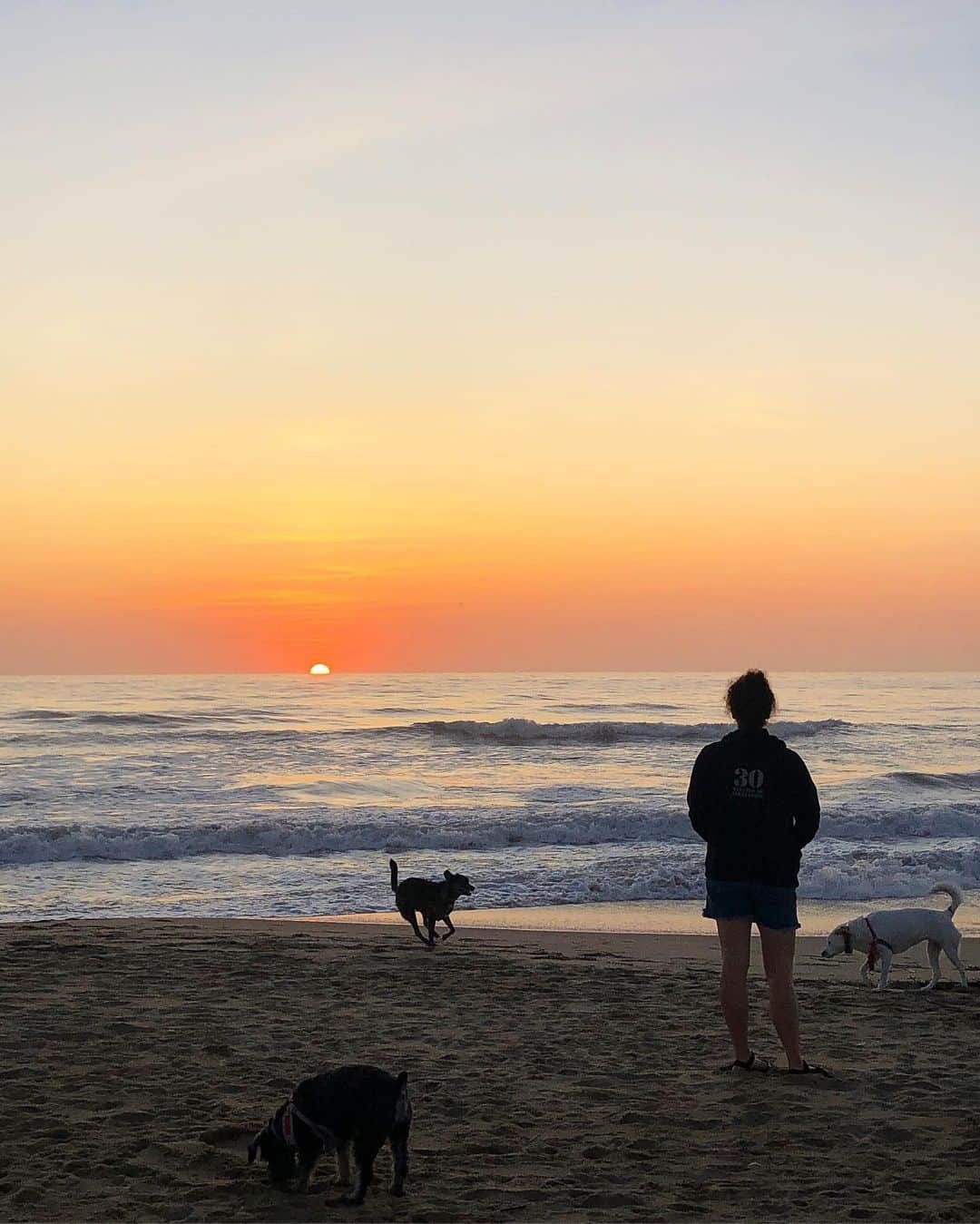 Grace Bonneyのインスタグラム：「Literally could not ask for a thing more. Sunrise at the beach with my favorite person and a pack of the sweetest dogs. ♥️」
