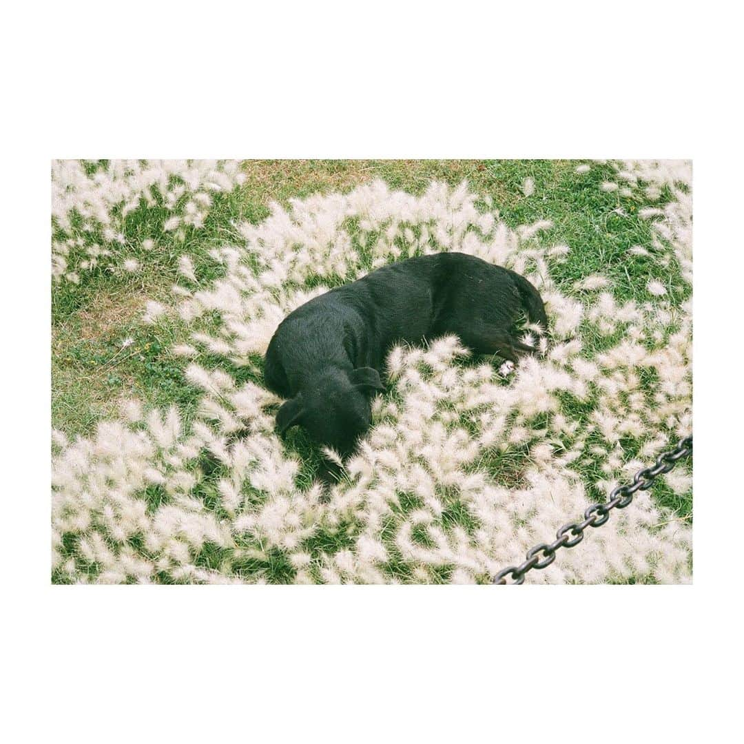 ANGERMEさんのインスタグラム写真 - (ANGERMEInstagram)「こんばんは〜笠原桃奈です！🌿 今日はメキシコに行った時の写真を紹介！！👏🏼 メキシコは本当に美しい風景だらけで、癒されました。 メンバーとカラフルな景色が、すごく似合っていて、また行きたいなと思いました！ そしてライブも本当に盛り上がってくださって、嬉しかったです☺️ そういえば皆さん！POP'n アイドル 04に出演させて頂くことが決まりました！！11/27です。ぜひチェックお願いします🤲  #angerme #ANGERMEXICO #アンジュルム #film #白桃カメラマン」9月11日 21時22分 - angerme_official