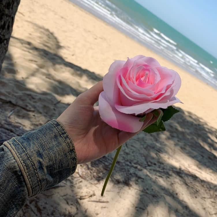 工藤晴香さんのインスタグラム写真 - (工藤晴香Instagram)「薔薇と砂浜と海」9月11日 22時58分 - kudo_a.k.a_910