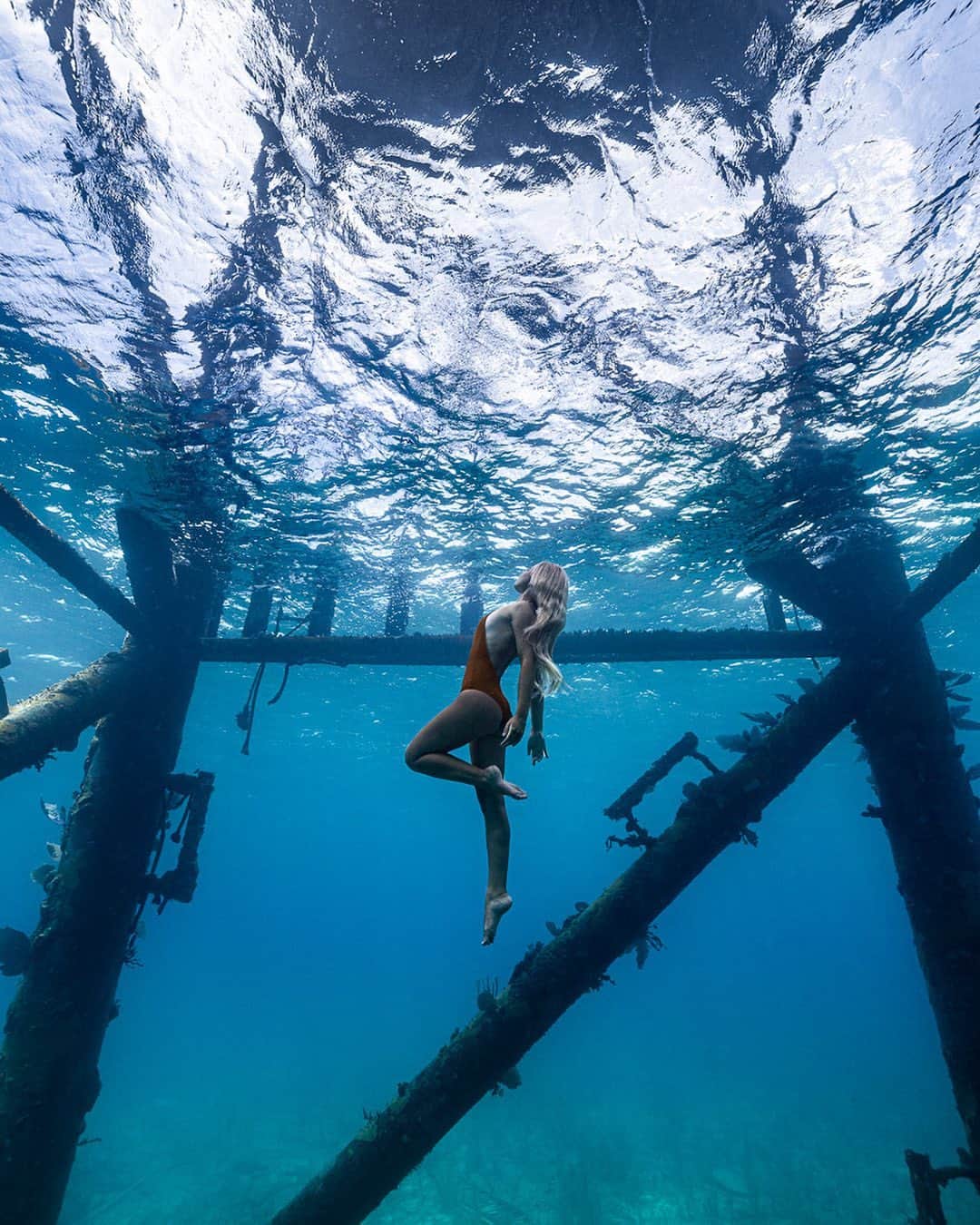 サシャ・カリスのインスタグラム：「Thank you for your continuous help and support throughout the aftermath of hurricane Dorian. See my last post for more info on donations, volunteer, etc. 🇧🇸 📸 @andremusgrove 💦」